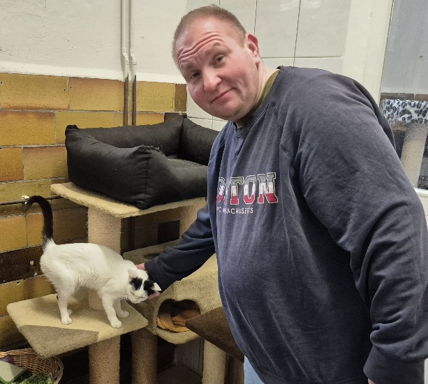 Tierheimkatze findet ein zu Hause