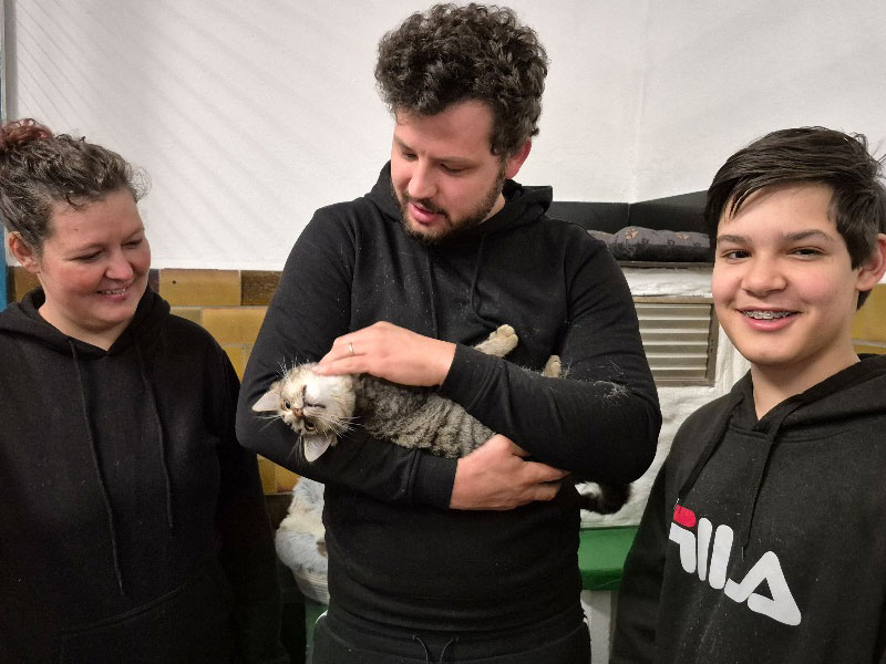 Spock, Katze aus Tierheim Verlorenwasser, Bad Belzig