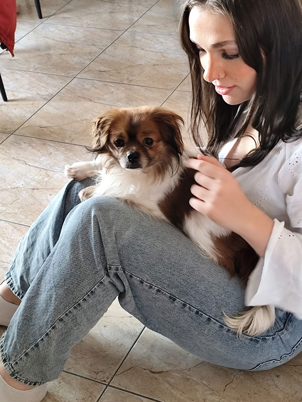 rocky hund tierheim verlorenwasser 5