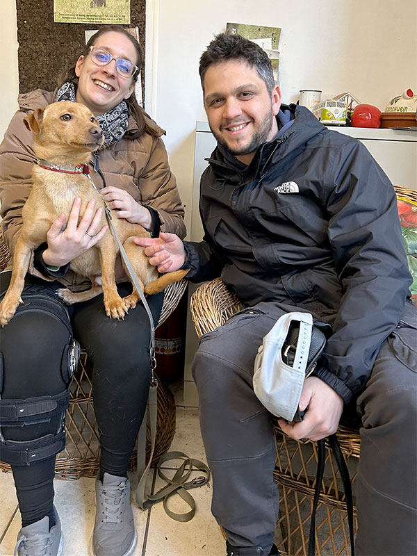 fin hund aus tierheim