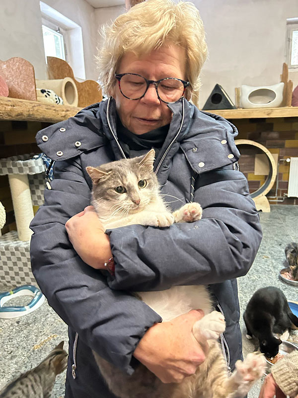 katze aus tierheim sally