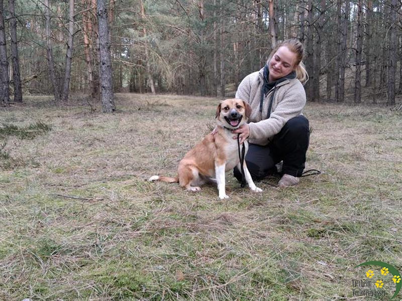 lenka - hund aus tierheim brandenburg