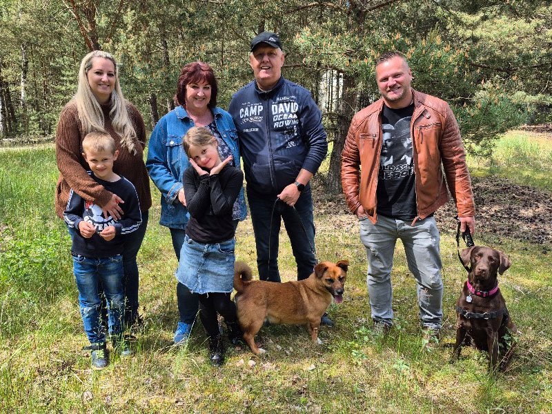 Sven, Hund aus dem Tierheim, erfolgreich vermittelt