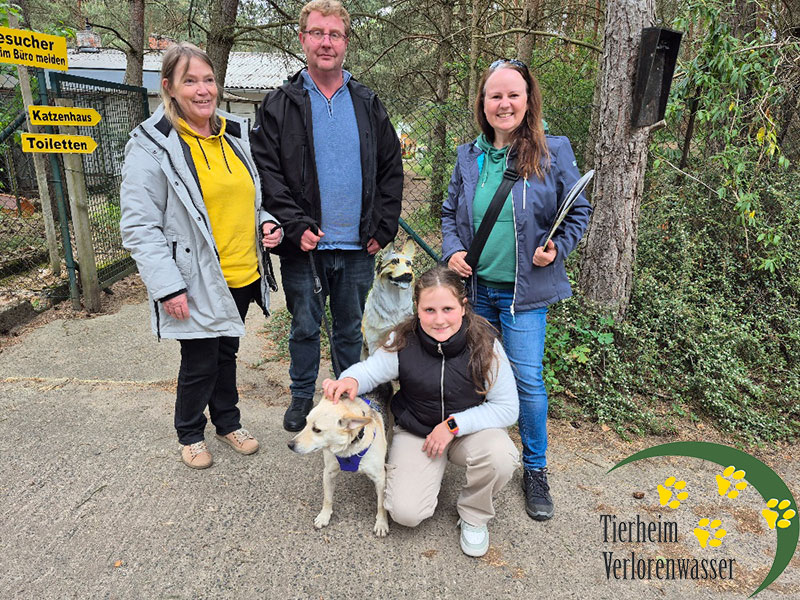 hund aus tierheim brandenburg berry 1