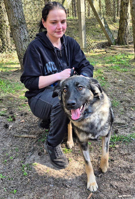 hund aus dem tierheim taya 3