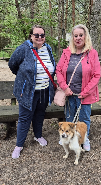 olek hund aus tierheim brandenburg 0