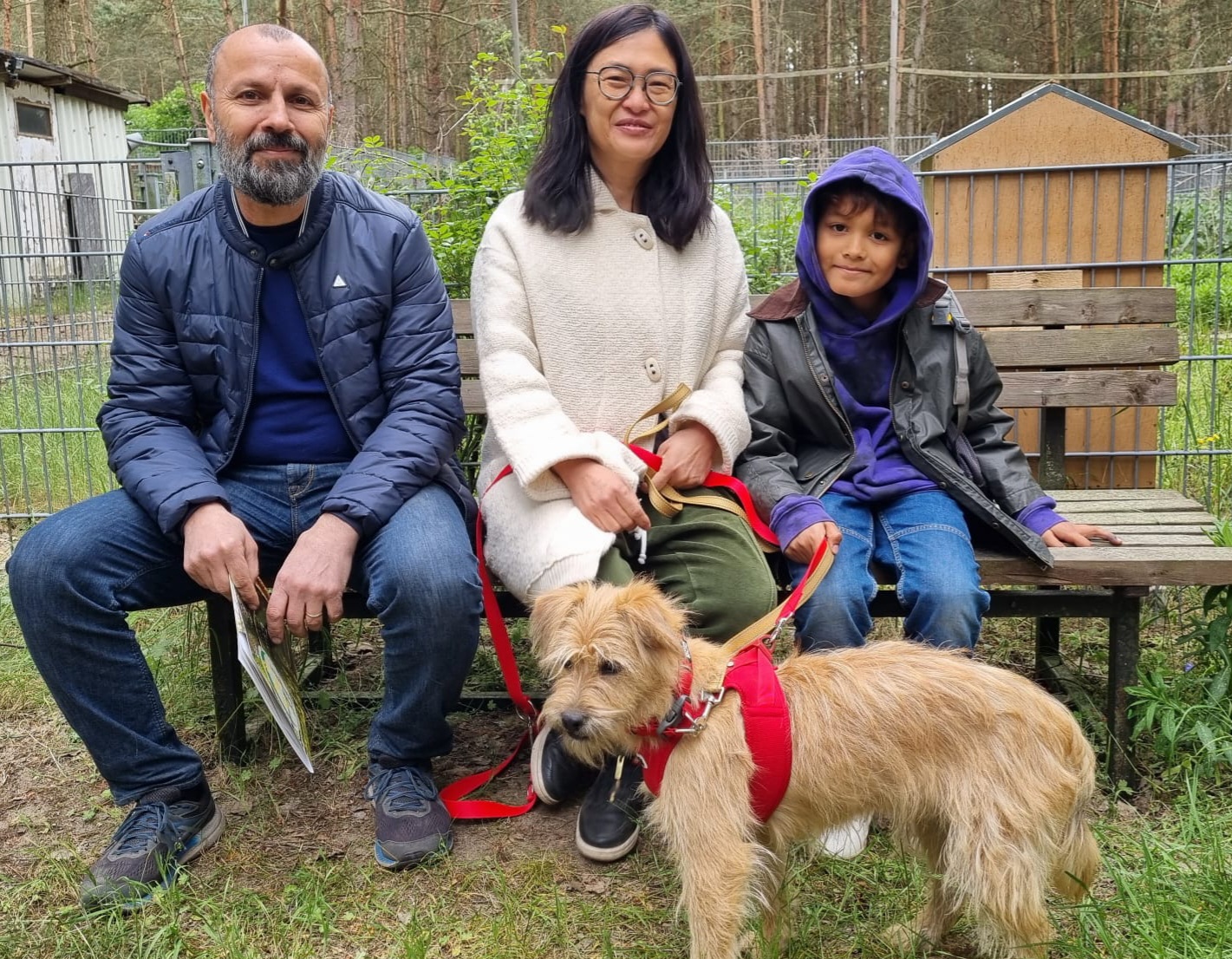 camello hund aus tierheim brandenburg 2