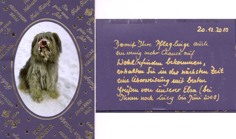 Weihnachtsgruß von Elsa