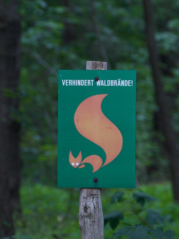 Waldbrand 01