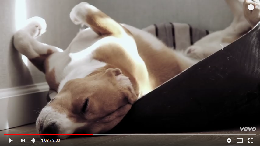 Tipp für's Wochenende