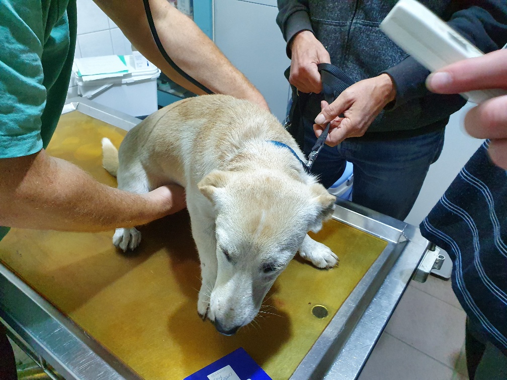 Tierarztbesuch ist "Bäh"