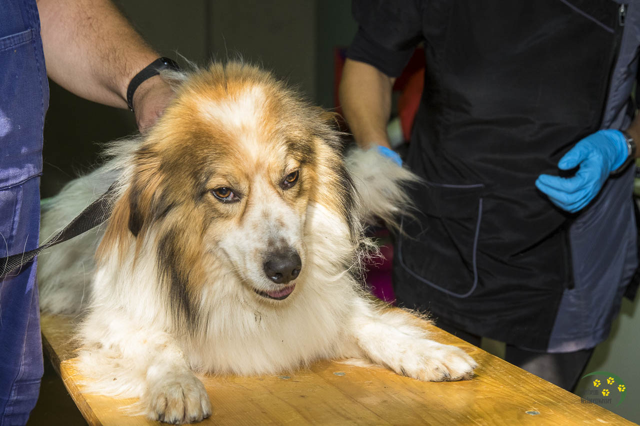 Im Vollrausch beim Friseur