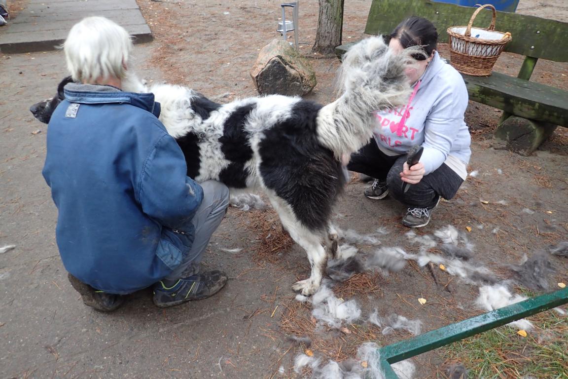 Wenn die Fetzen fliegen