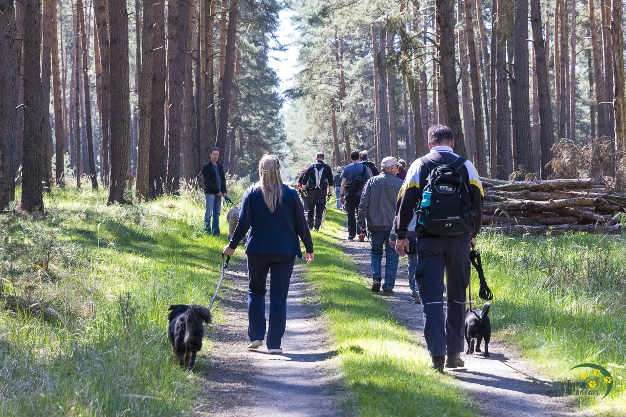 Hundewanderung
