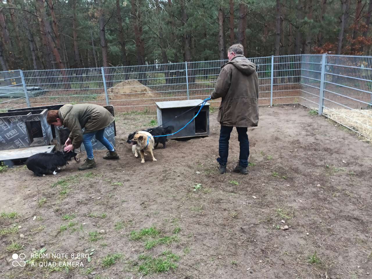 Hoffnung für MeckPom-Hunde