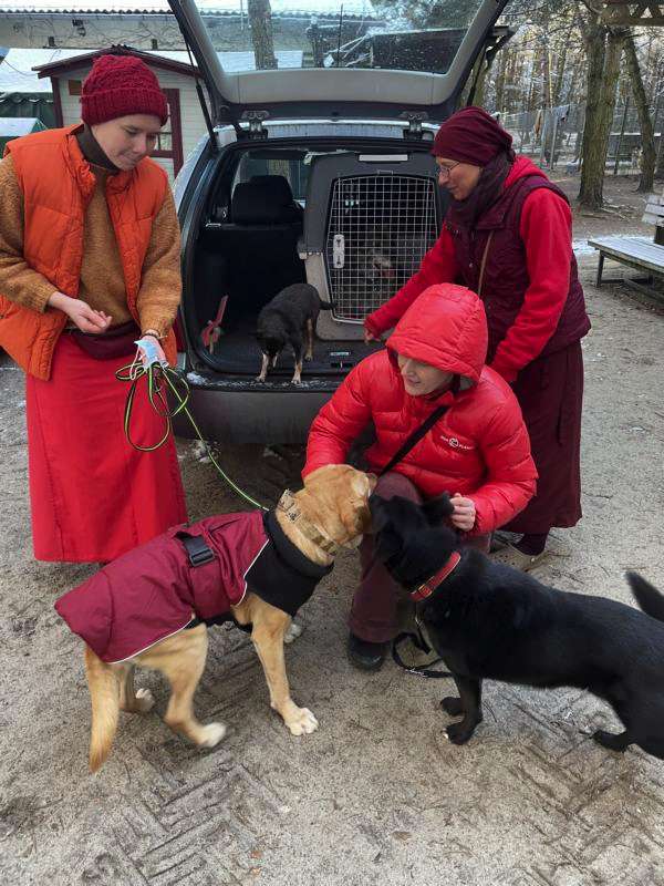 Eine wahre Weihnachtsgeschichte