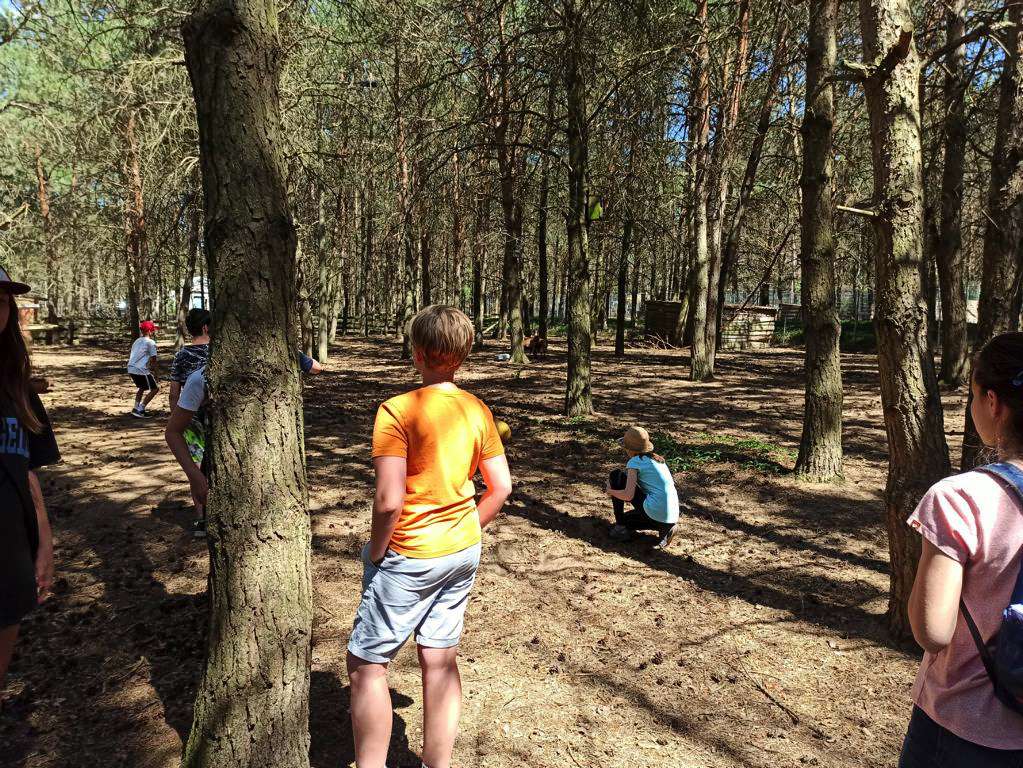 Ferienpark Hohenspringe