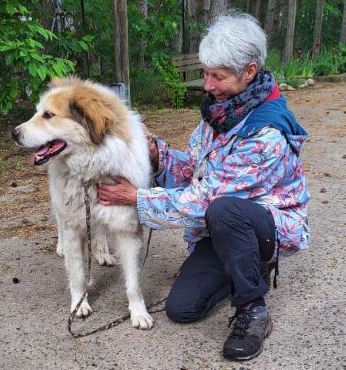 Stationen eines Hoffnungslosen