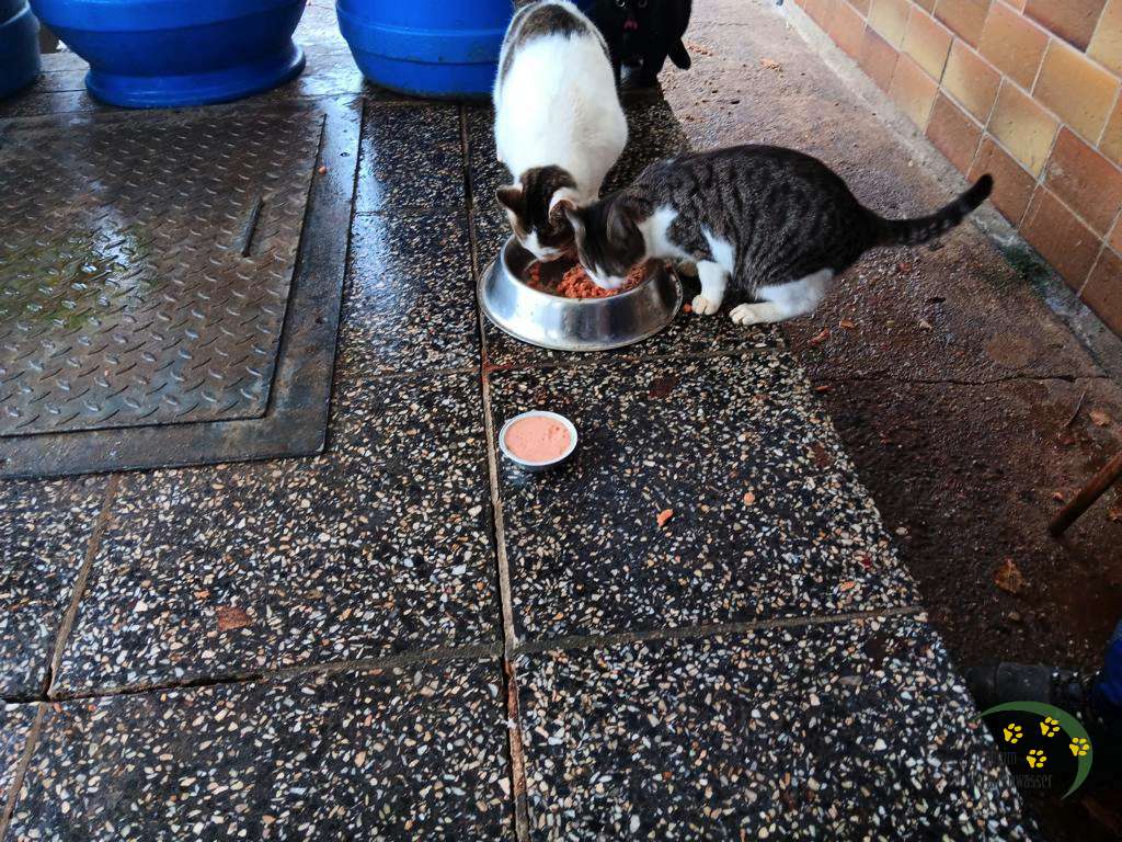 Teilen macht glücklich