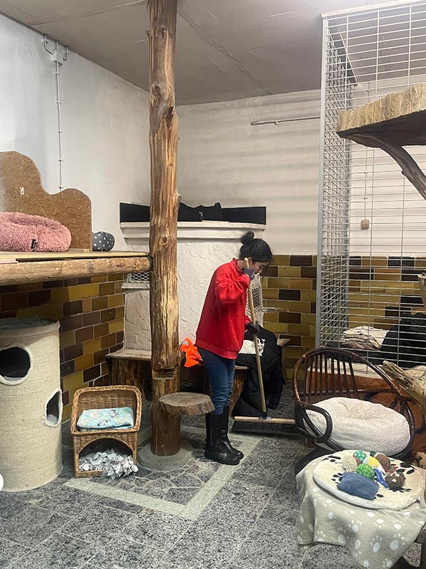 arbeitseinsatz cemex 1