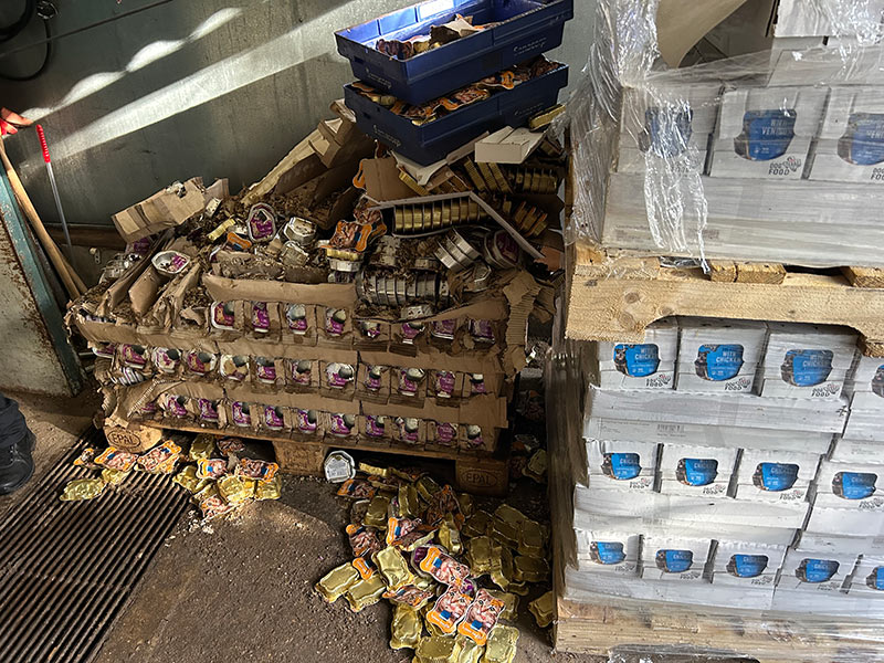 waschbaeren im tierheim - Waschbärplünderung