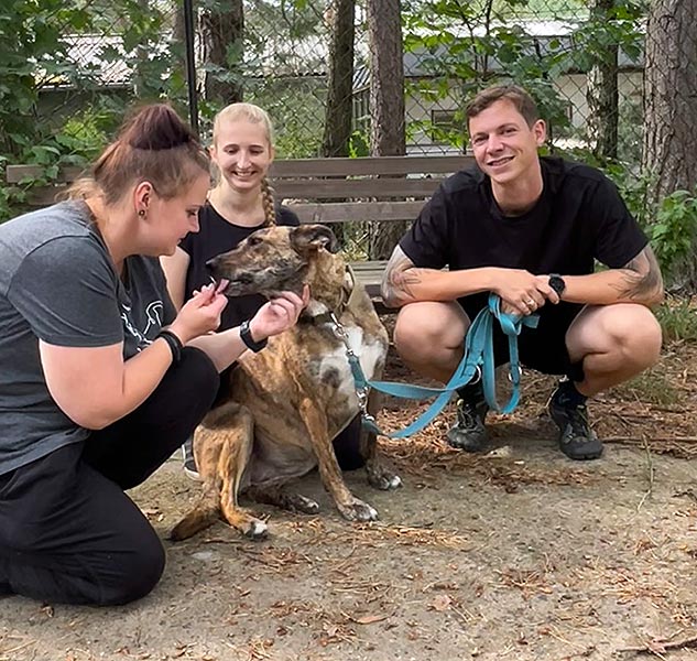 startfoto hund aus tierheim brandenburg junia