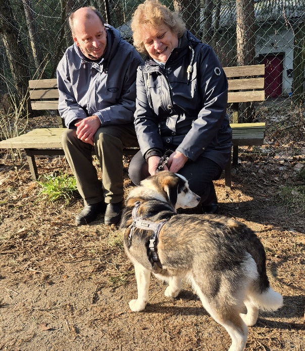 andy hund tierheim 3