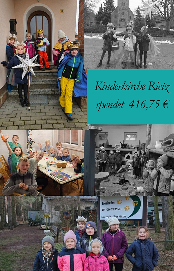 Kirchenspenden ans Tierheim Brandenburg