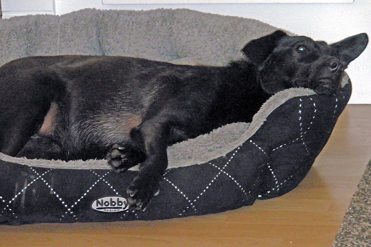 Elli, ehemals Kendra