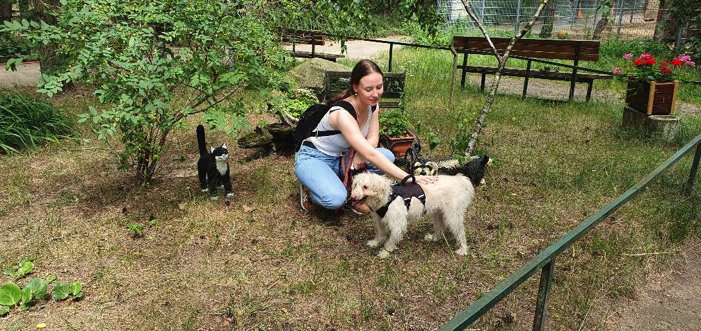 Barney war  zu Besuch