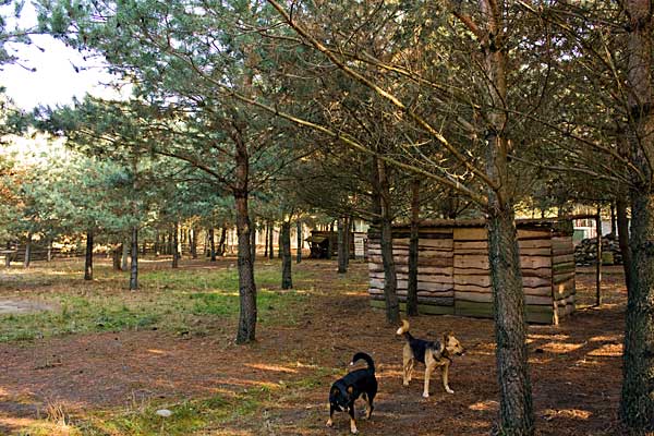 Rundgang im Tierheim Verlorenwasser