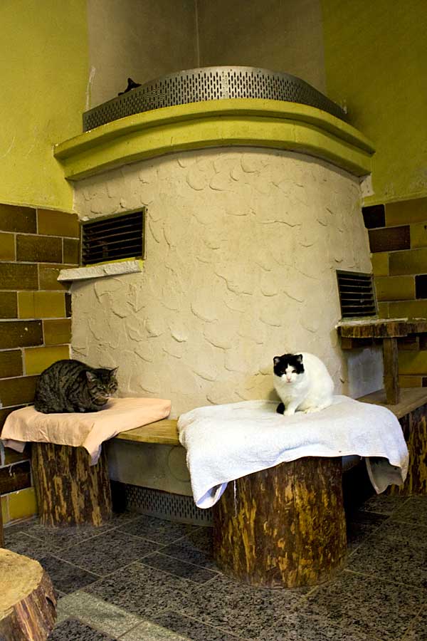 Rundgang im Tierheim Verlorenwasser