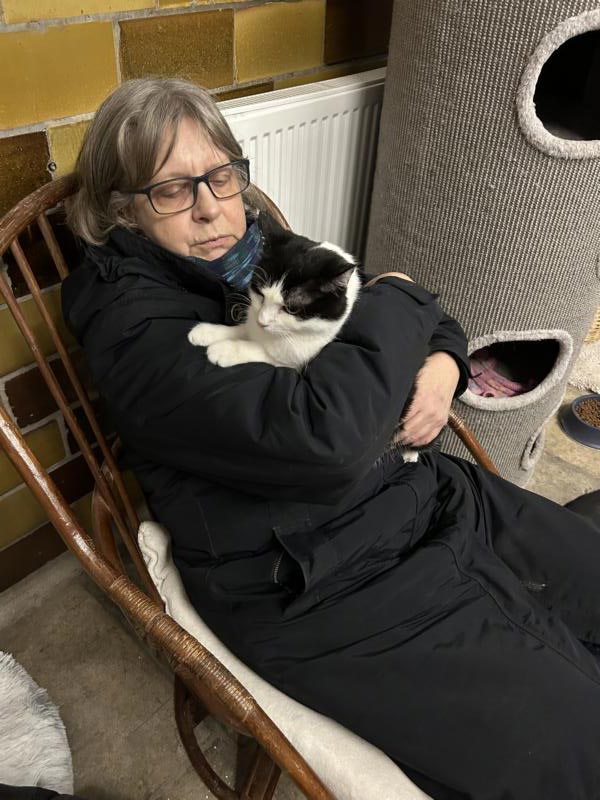 fenja - katze aus tierheim brandenburg