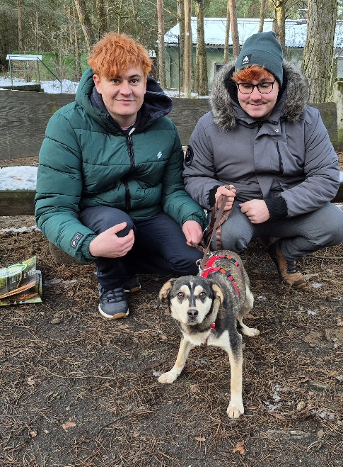 Angelo - Hund aus dem Tierheim