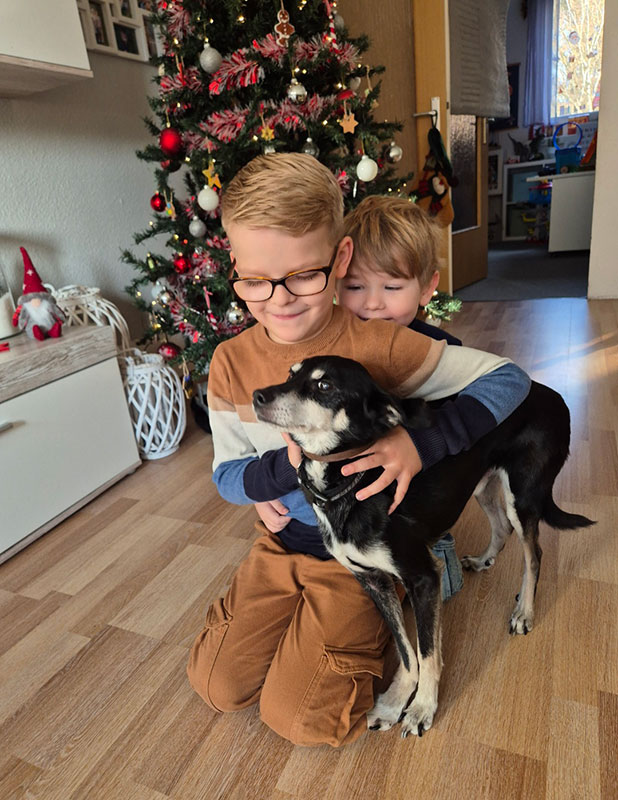 pico hund aus dem tierheim brandenburg 1