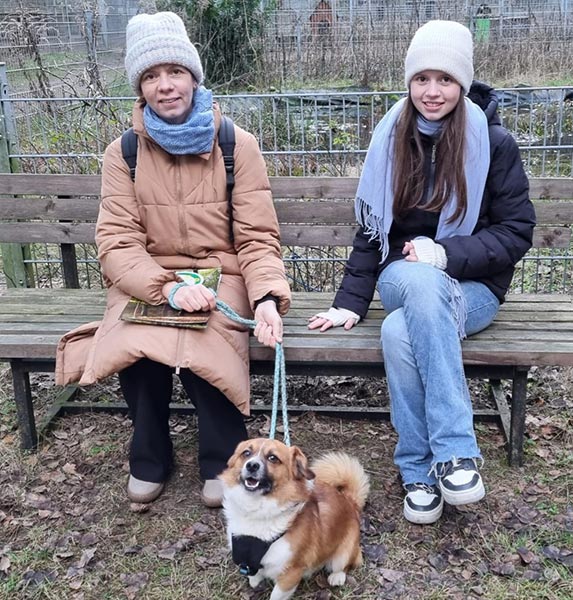 hund aus tierheim brandenburg amon 1