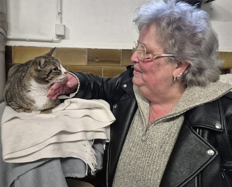 emmi katze aus tierheim 3