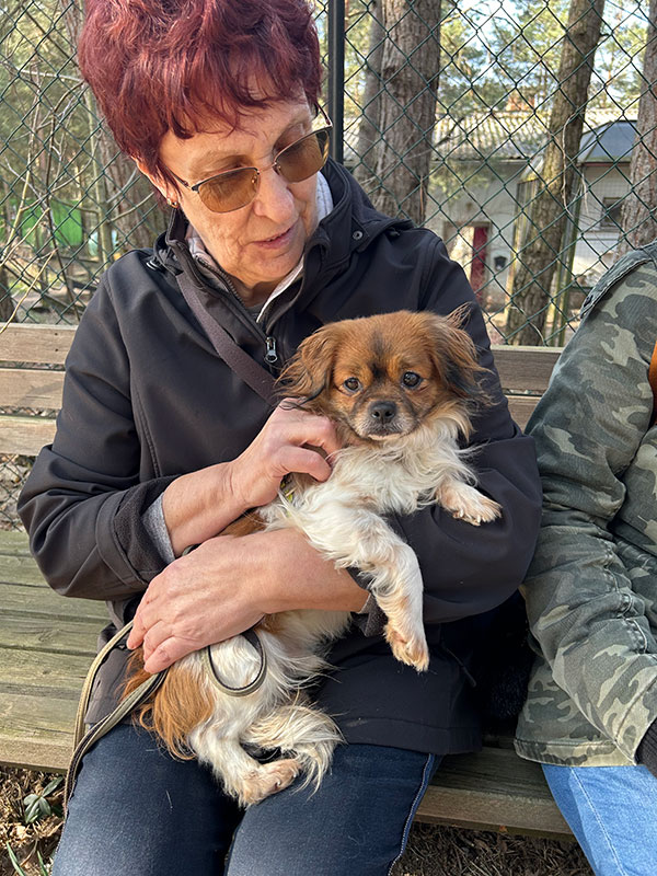 1 amor hund aus tierheim brandenburg