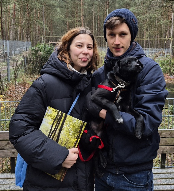 hund aus tierheim elma