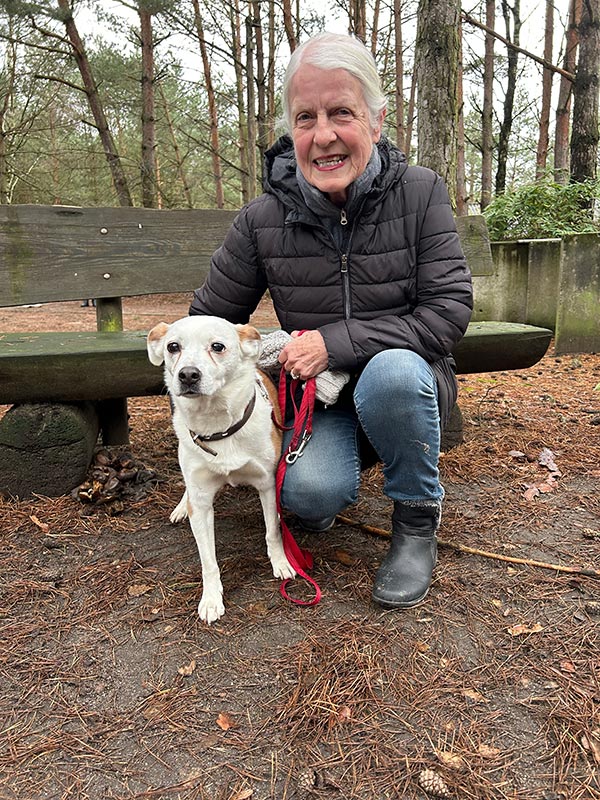 hund snow aus dem Tierheim