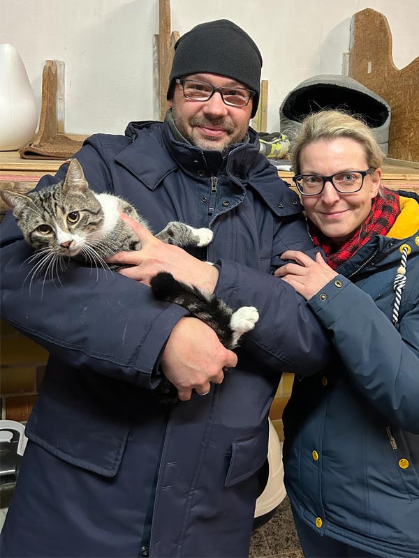 katze amaro aus dem Tierheim