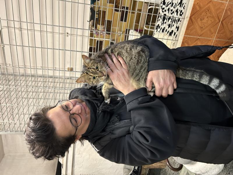 katze minki aus dem Tierheim