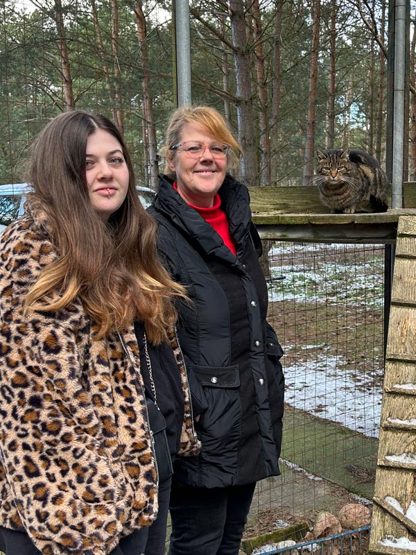 momo - Katze aus dem Tierheim