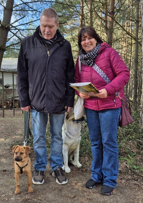 nala hund aus tierheim 1