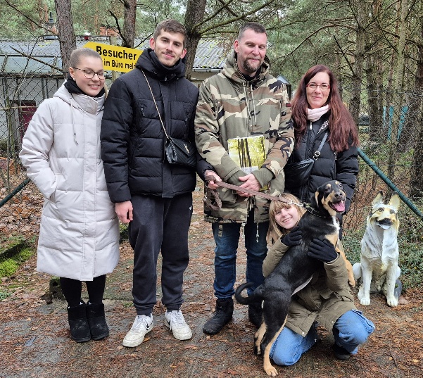 tierheim hund arabella