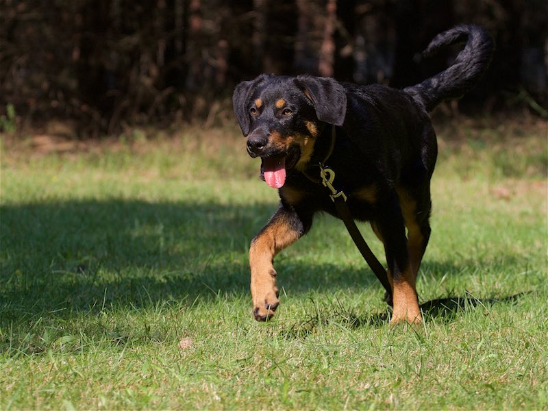 Wenn's richtig dumm läuft