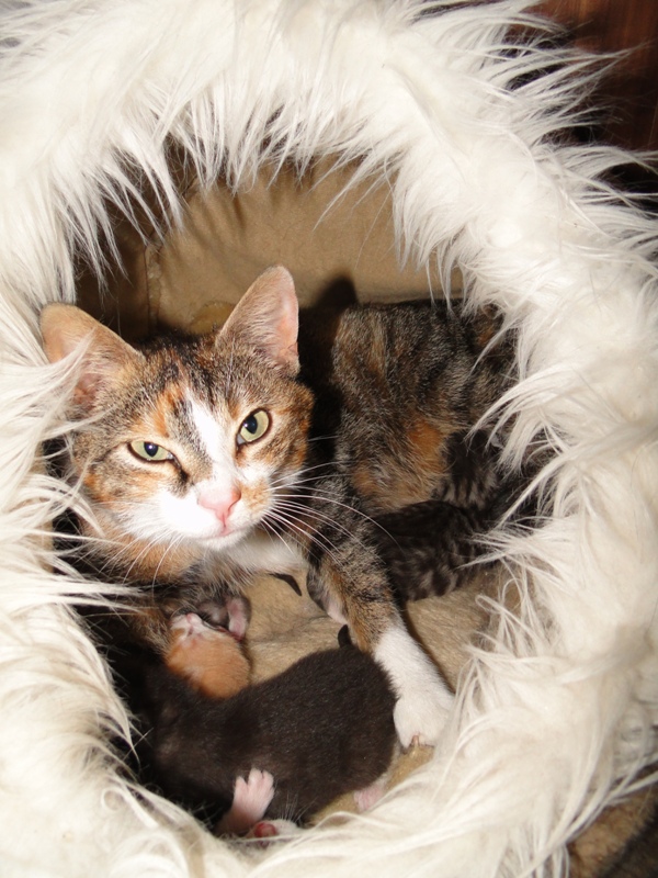 Mit Mama in der Höhle