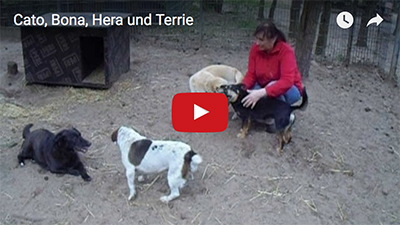 Cato Bona Hera Terrie